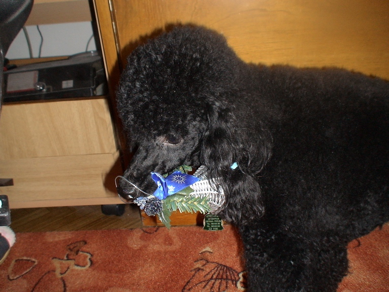 23.12.07 O vánocích 07.JPG