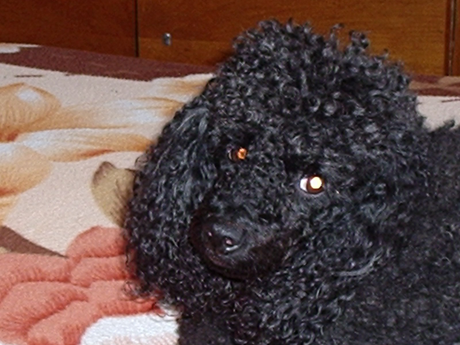 P1010075.JPG