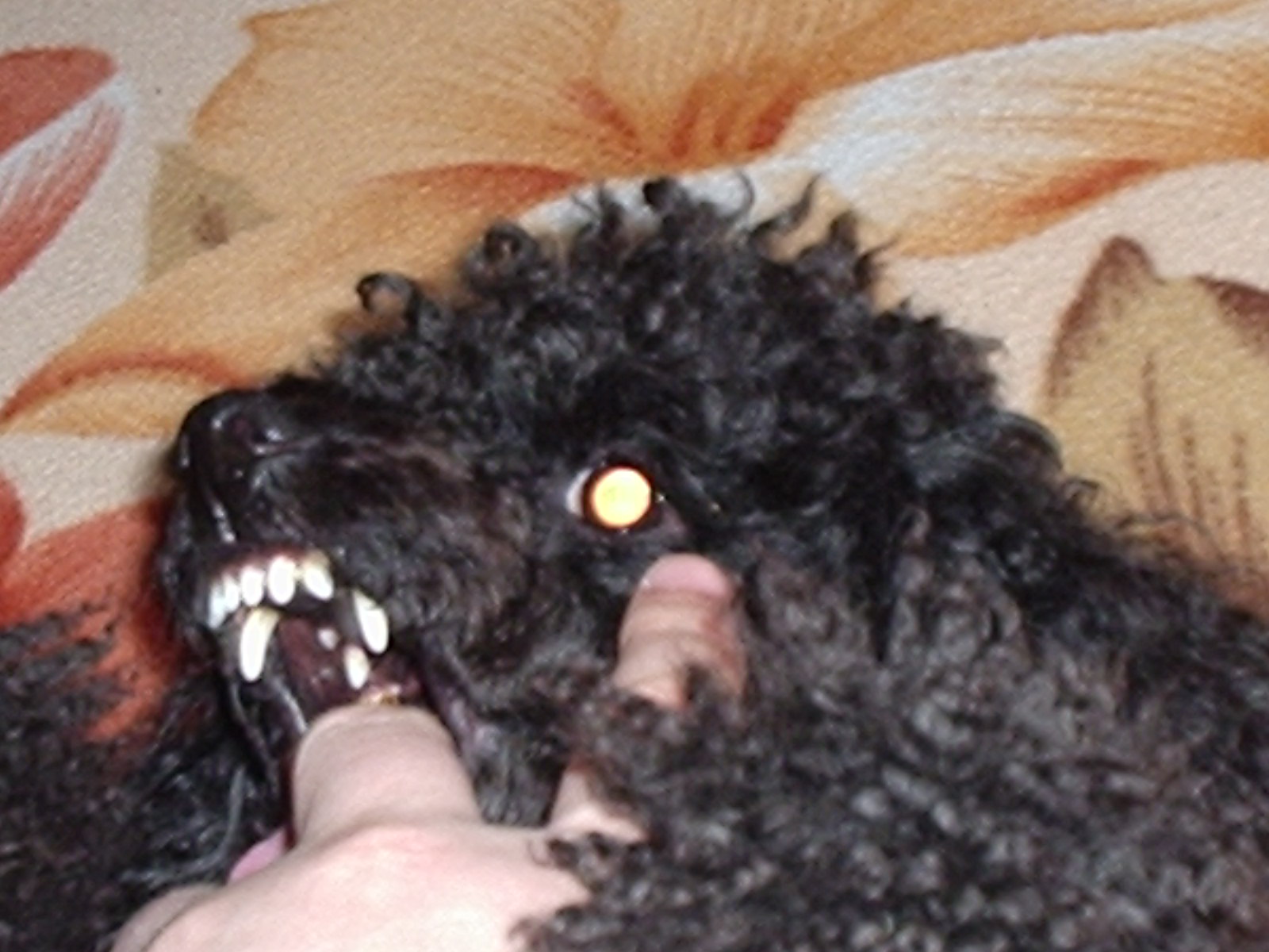 P1010076.JPG