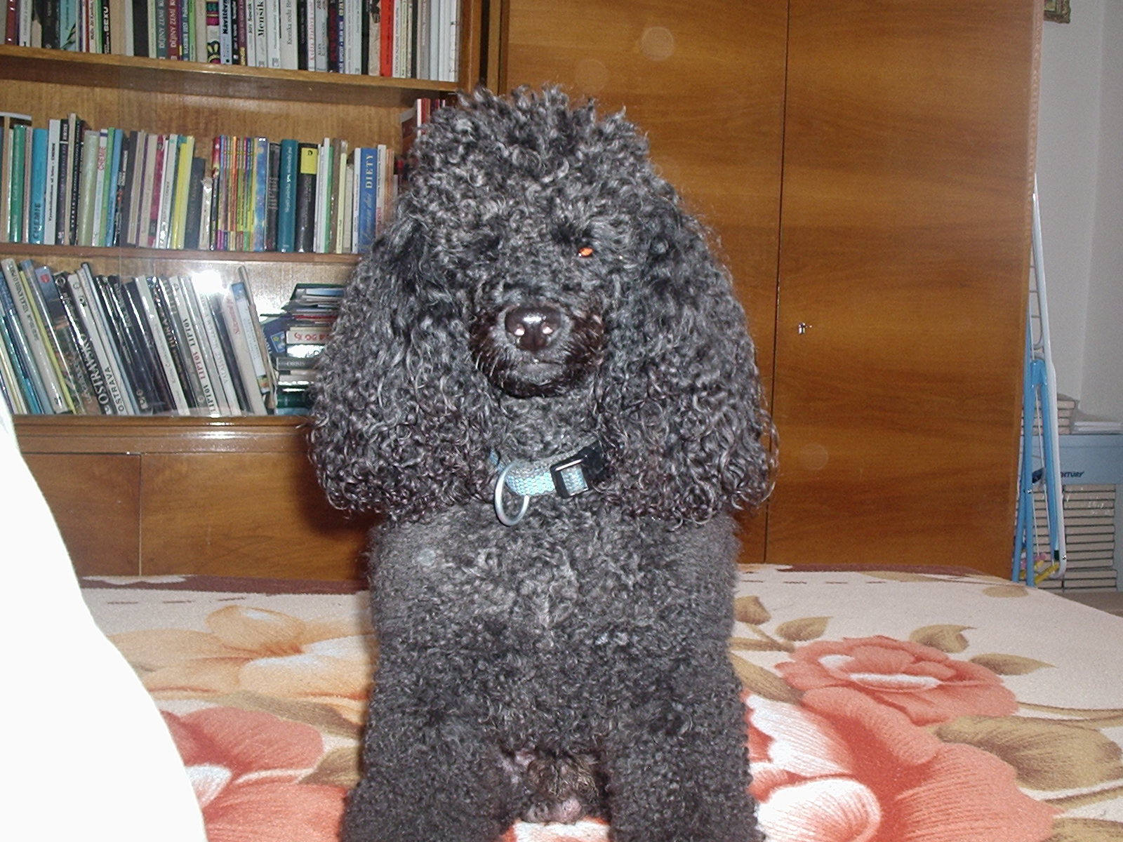 P1010077.JPG