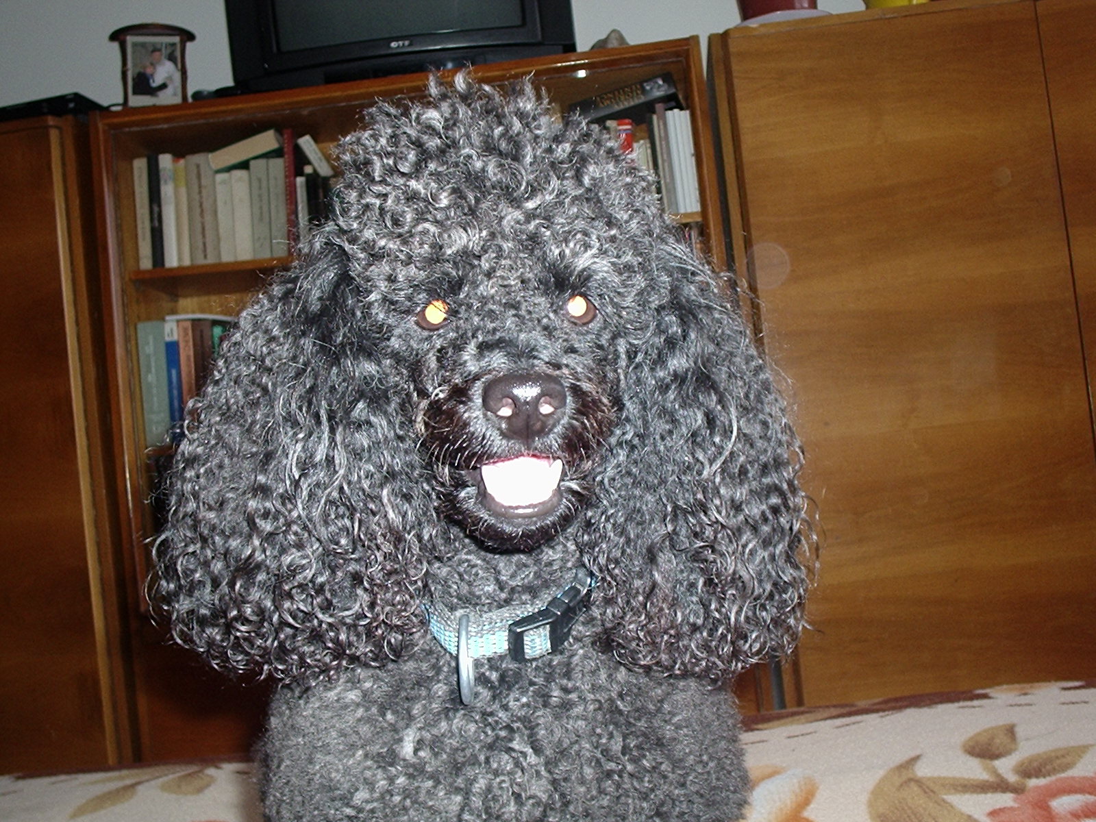 P1010078.JPG
