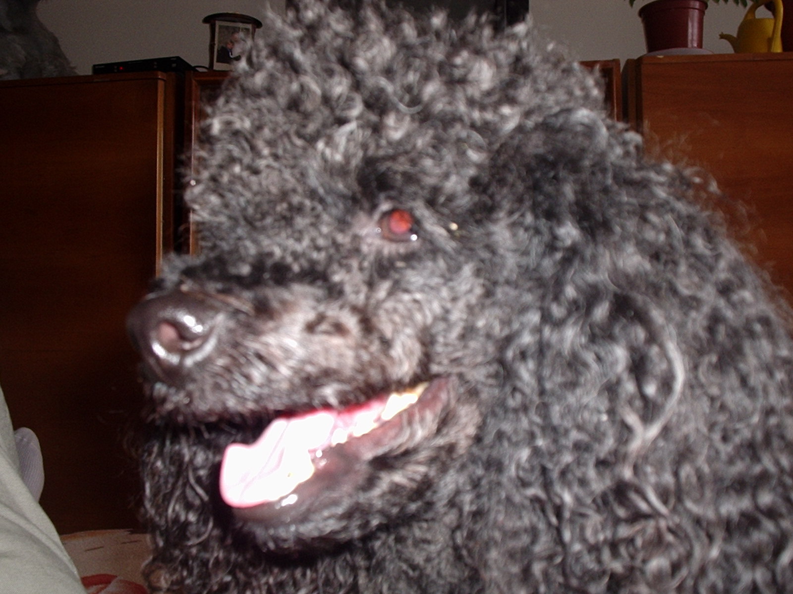 P1010080.JPG