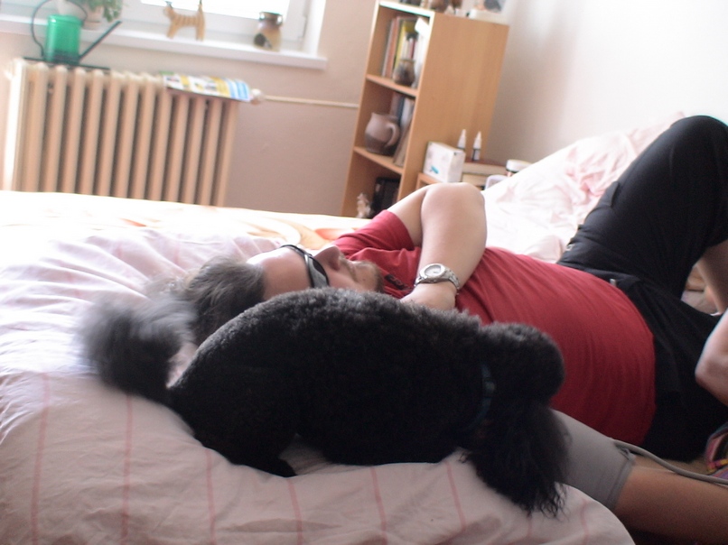 Asistent Vikki VII.2010.jpg